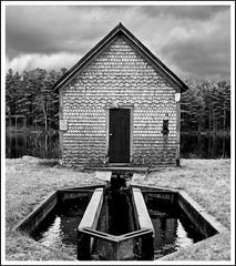 Cedar Shake Shed