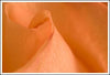 Rose Petal Spiral